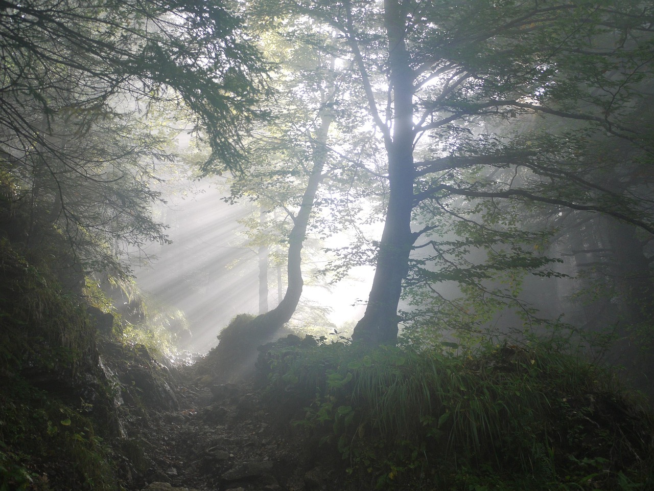 Cold Cases, Old Ghosts: How Mystery and Gothic Fiction Borrow Each Other's Tools