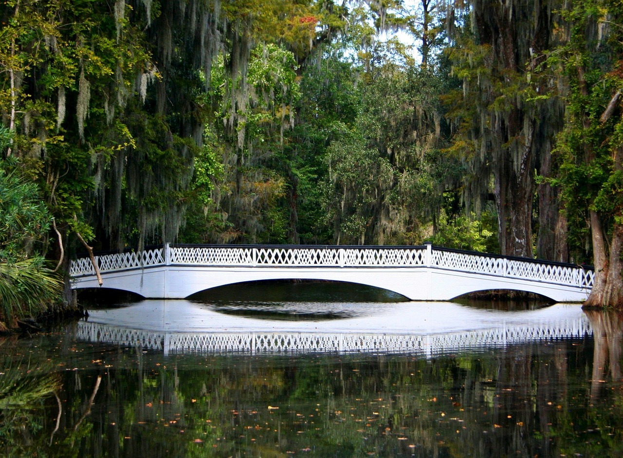 Southern Decay, Northern Fog: Regional Landscapes in Dark Fiction