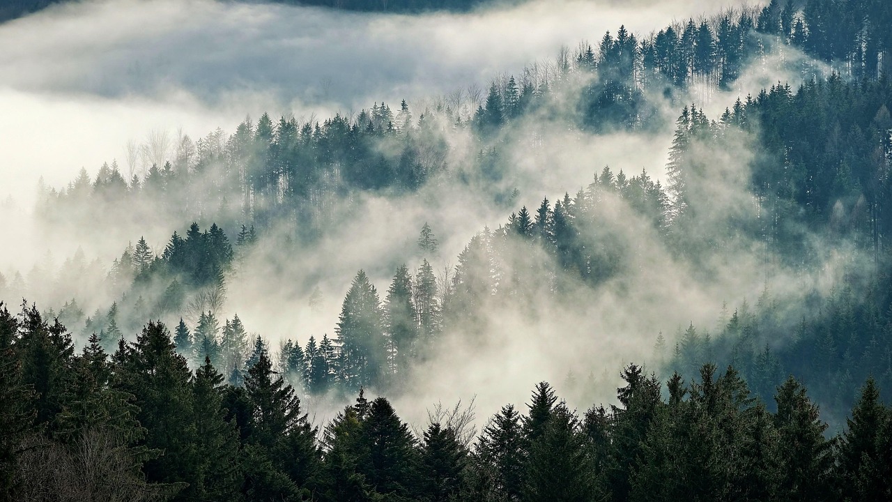 The Anatomy of Dread: How Atmosphere Does the Work of Fear